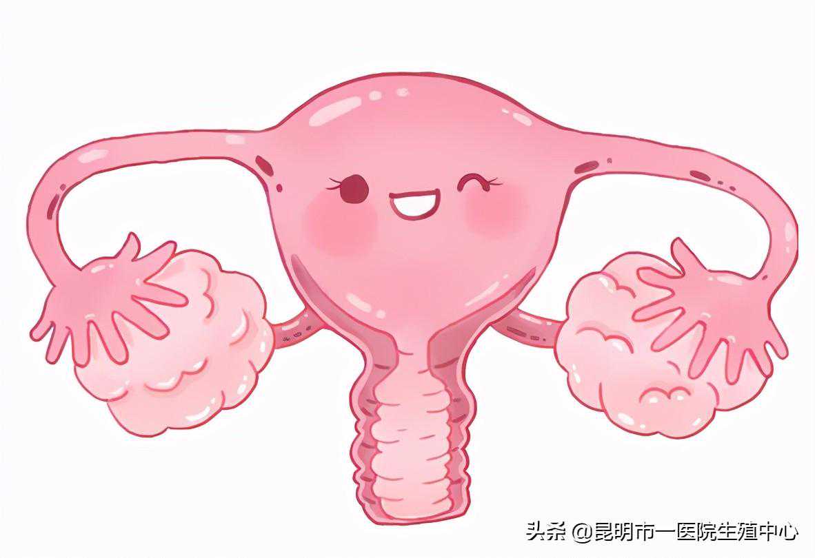 「好孕妙招」子宫内膜薄怎么备孕？